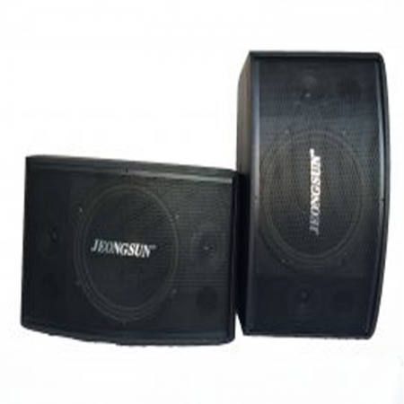 LOA JEONGSUN 205V