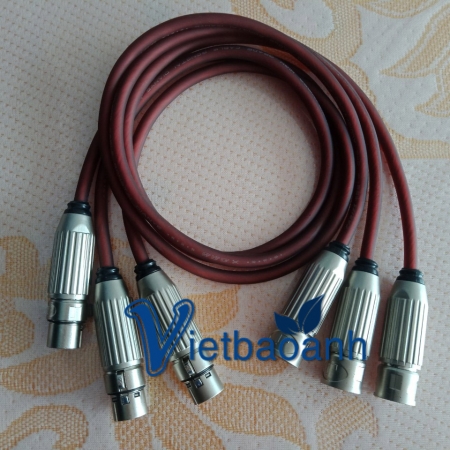 Dây canon 2C