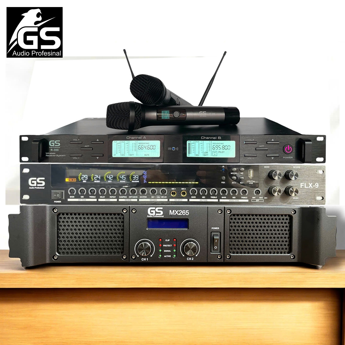 Combo karaoke GS FLX965