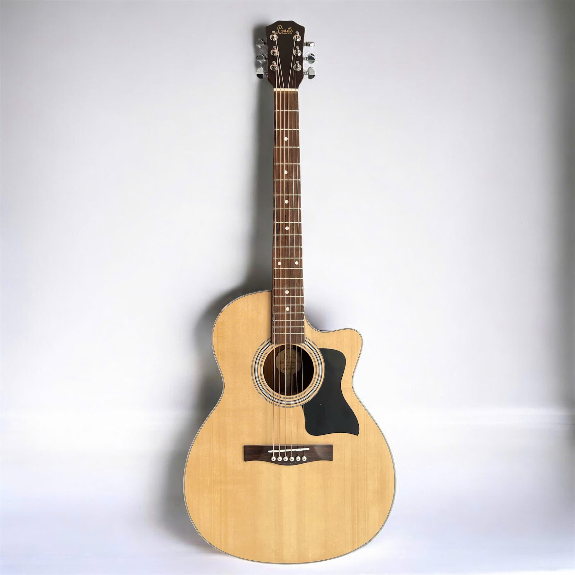 Guitar Acoustic Linas L120