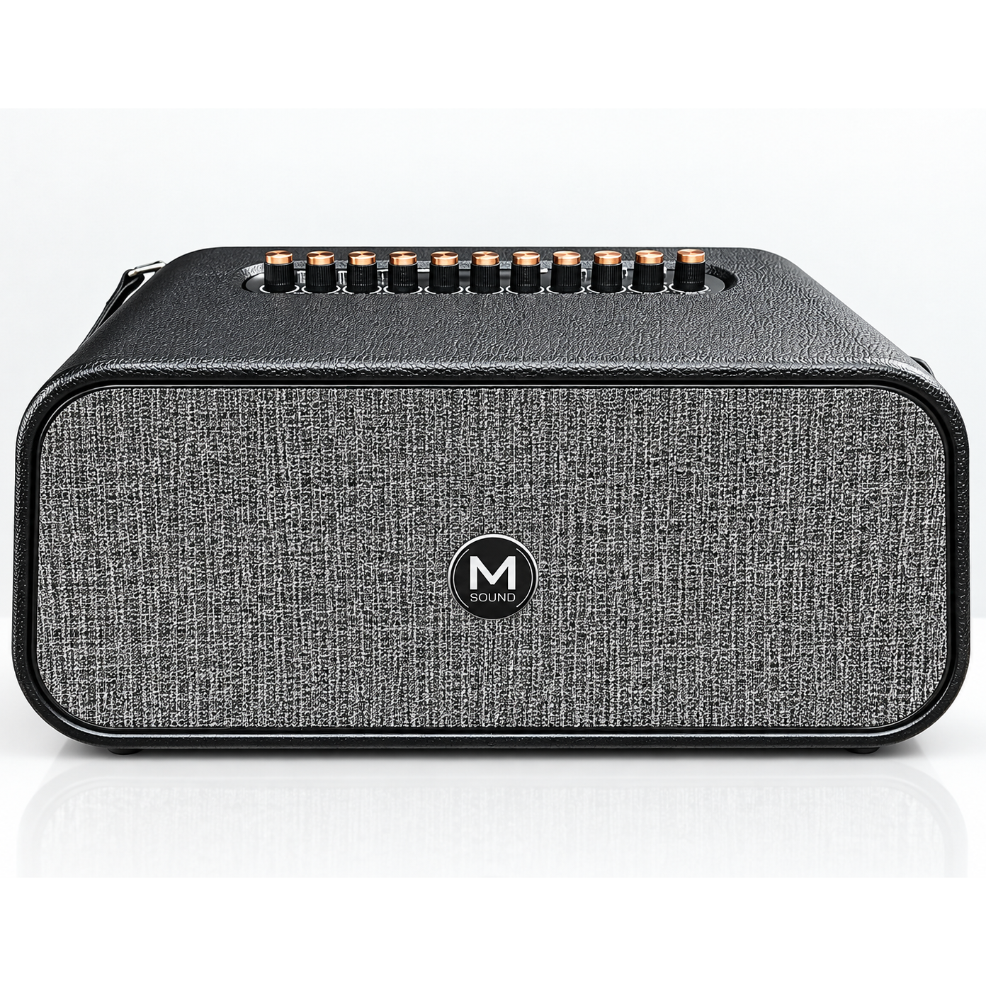 Loa xách tay Msound LM6